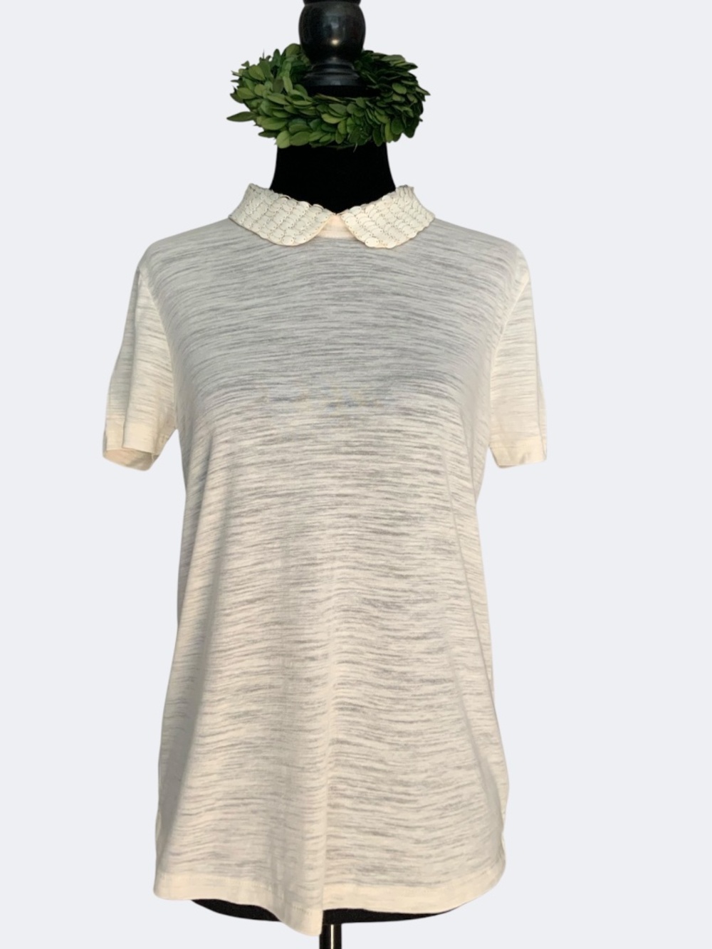 Madewell Ivory Slub Knit T Shirt Embellished Peter Pan Collar NWOT SZ S